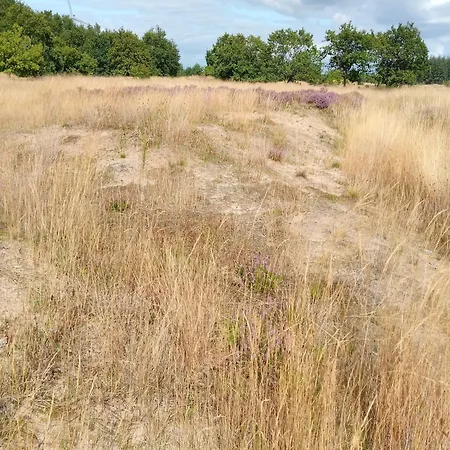 Spacious In * Neukirchen (Nordfriesland)